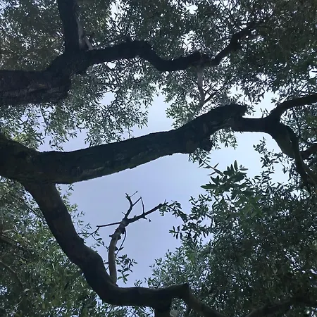 Podere Nonno Franco Apartman *