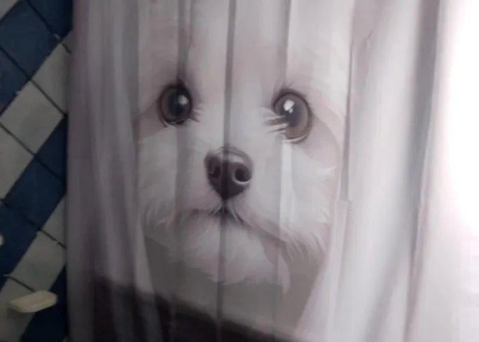 Podere Nonno Franco 아파트