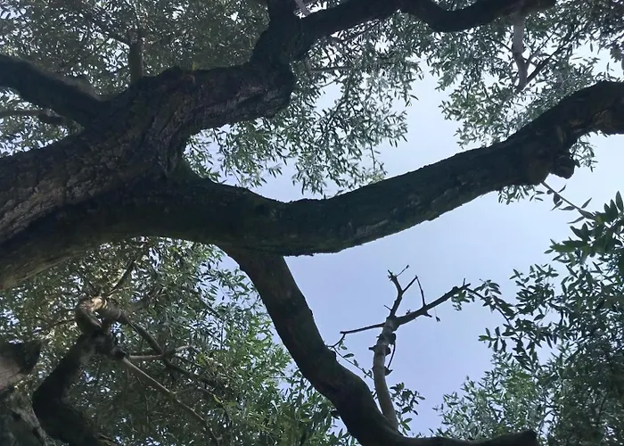 Apartment Podere Nonno Franco