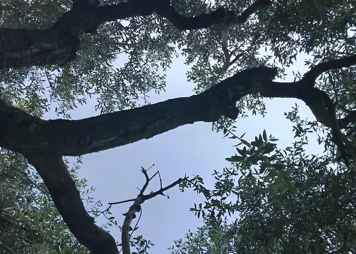 Podere Nonno Franco 아파트 *