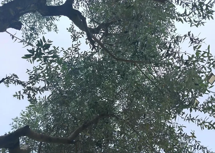 Podere Nonno Franco *